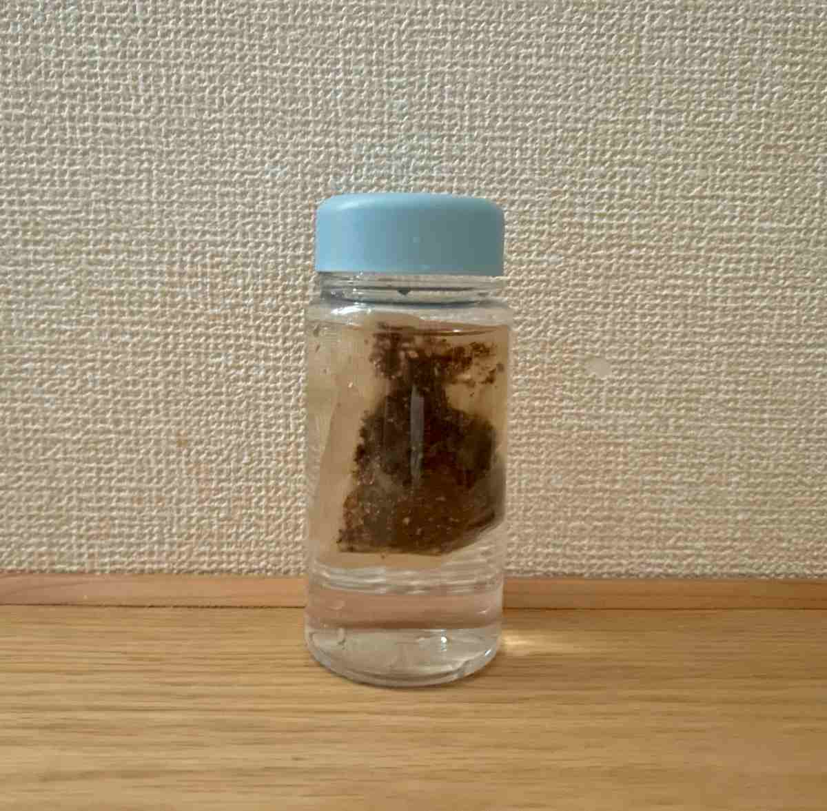 コーン茶３