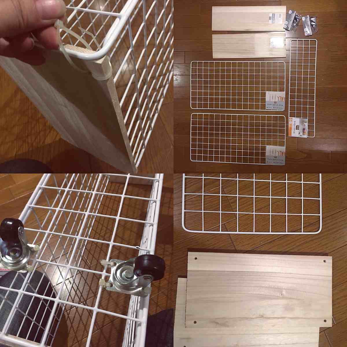 ダンボール4