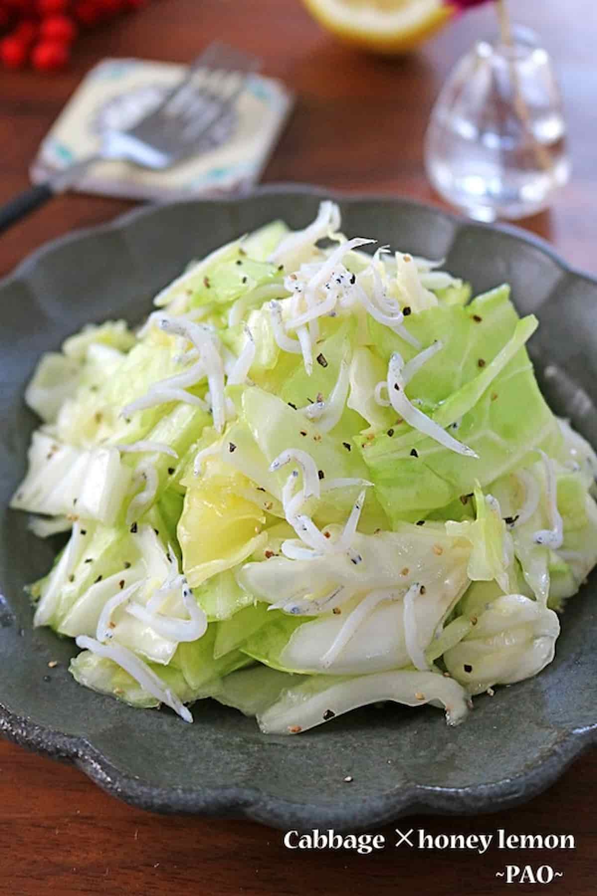 ぱおさん 無限キャベツ キャベツとしらすのはちみつレモンマリネ