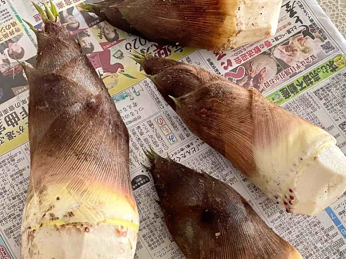 たけのこのごまみそ肉巻き