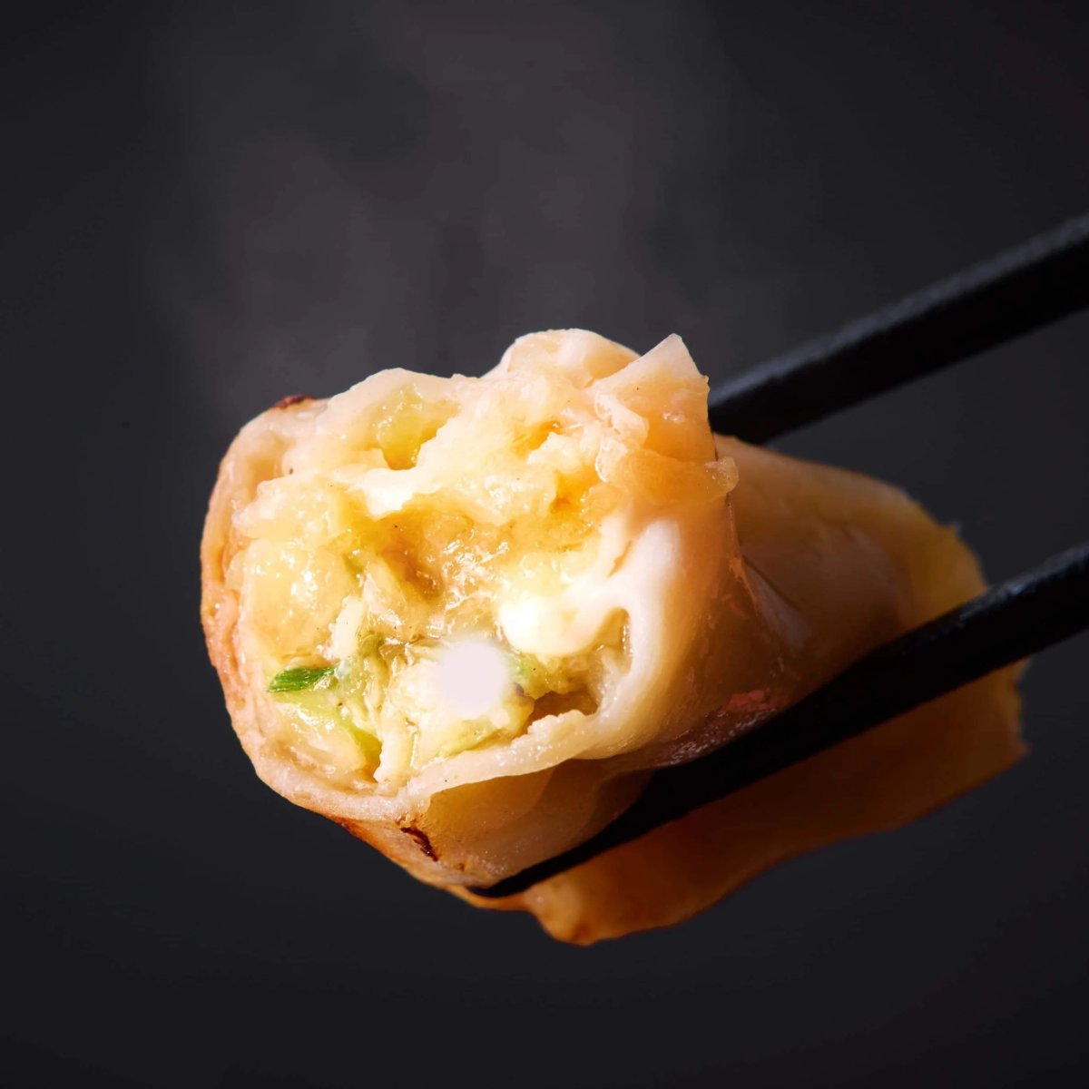 【銀賞受賞】もう普通の餃子には戻れない。プロも絶賛する「冷凍ひとくち餃子」が今だけ5点以上で送料無料！
