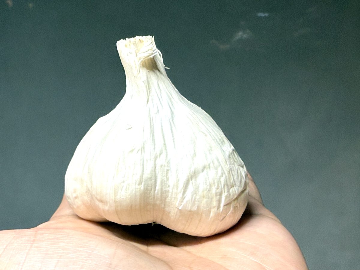 全体がふっくらとしていて丸みがあり、重みがあるもの